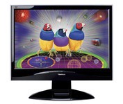 ViewSonic VX1932wm 19 inch LCD Monitor