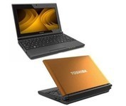 Toshiba Notebooks, 10.1' Intel Atom 250GB 1GB 1 (Catalog Category: Computers Notebooks / Netbooks) (ITENB505N508ORDAH1)