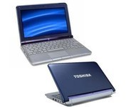 Toshiba Notebooks, 10.1' Intel Atom 250GB 1GB 1 (Catalog Category: Computers Notebooks / Netbooks) (ITENB305N600DAH1)