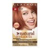 Clairol Natural Instincts , Haircolor, Brown Black #M17 1 Each For Men